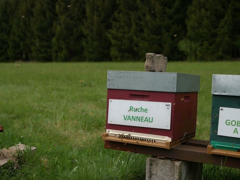 La ruche Vanneau