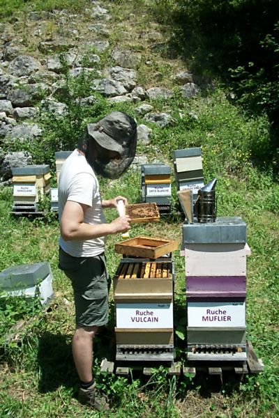 La ruche Vulcain