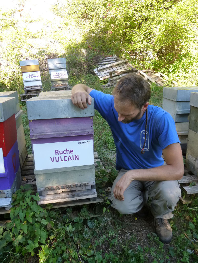 La ruche Vulcain