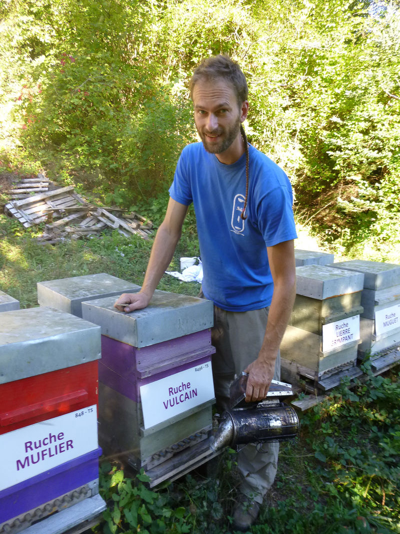 La ruche Vulcain