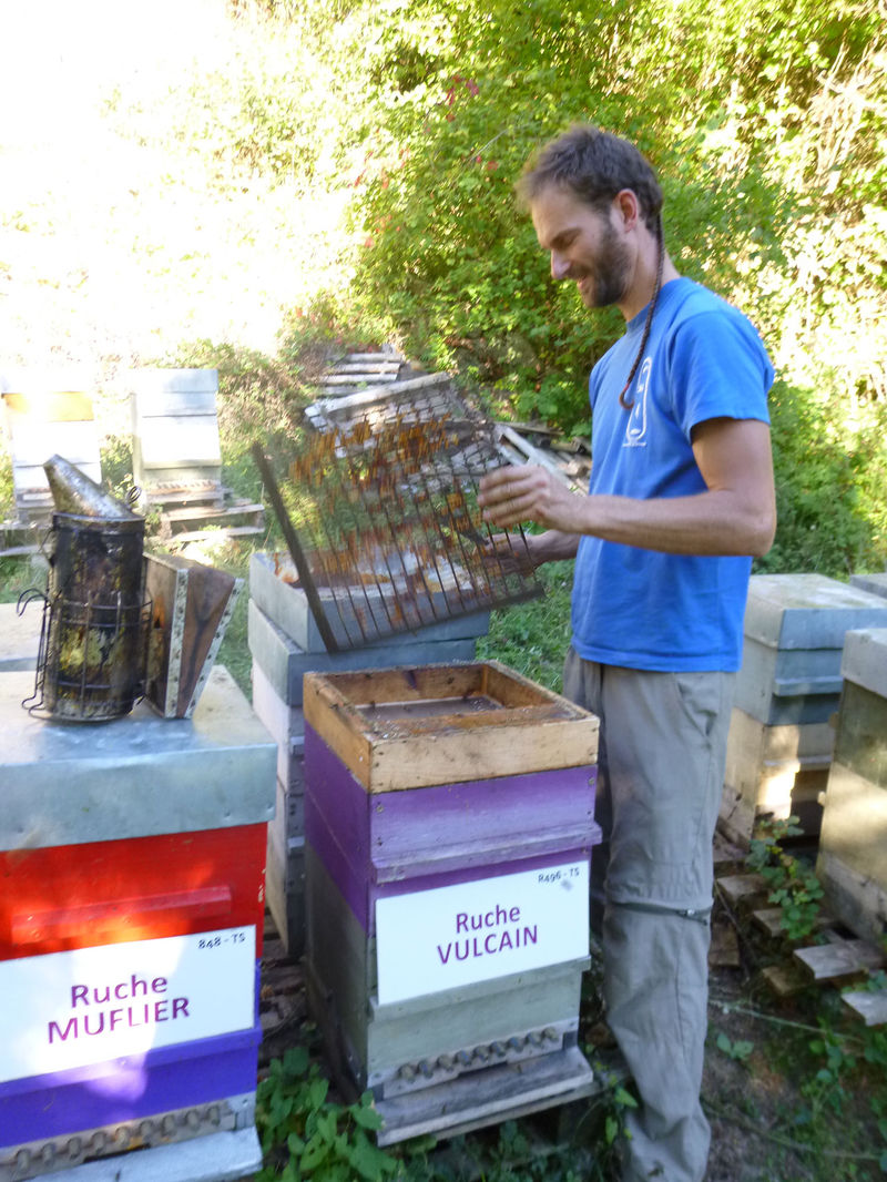 La ruche Vulcain