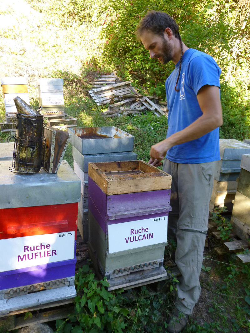 La ruche Vulcain