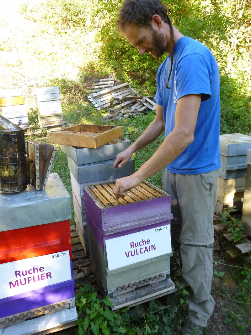 La ruche Vulcain