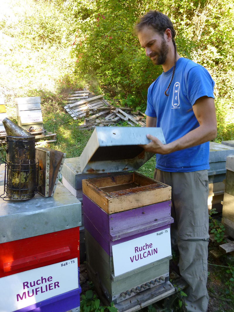 La ruche Vulcain