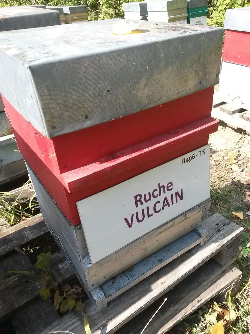 La ruche Vulcain
