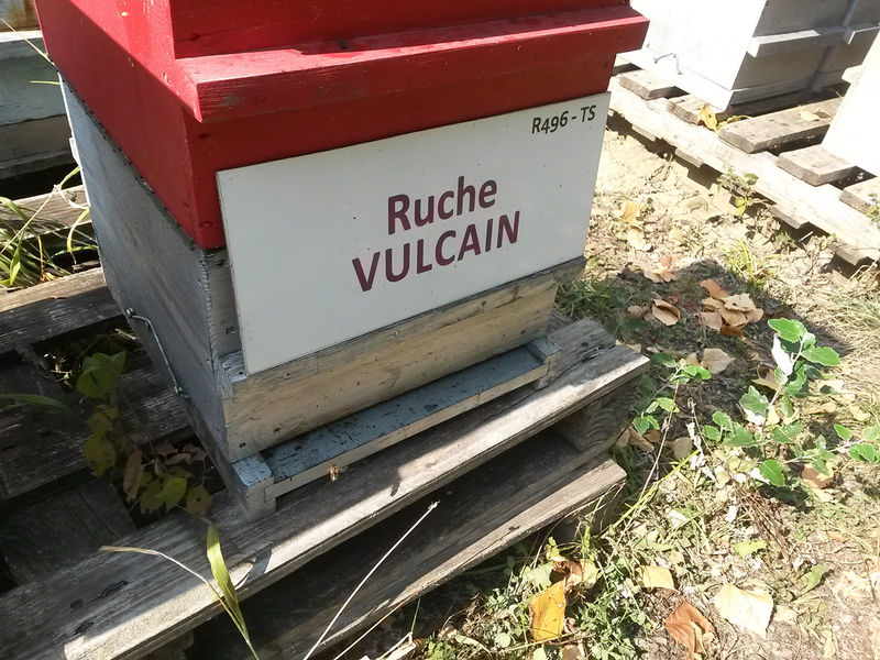La ruche Vulcain