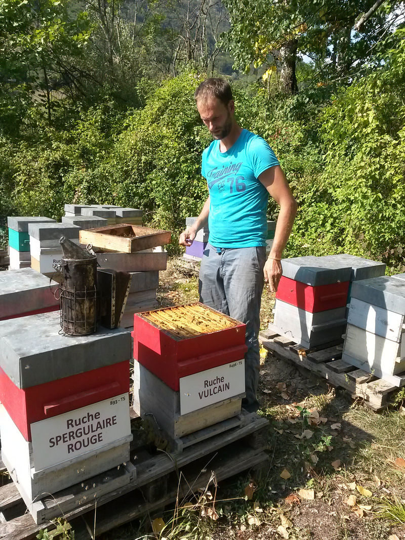 La ruche Vulcain