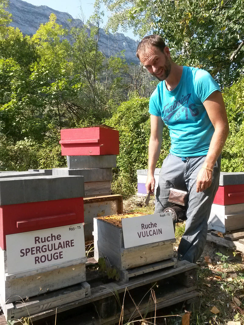La ruche Vulcain
