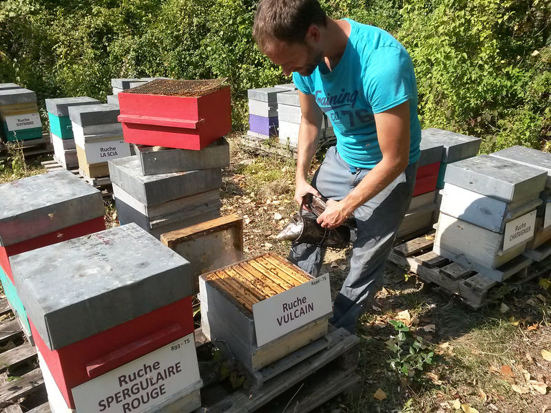 La ruche Vulcain