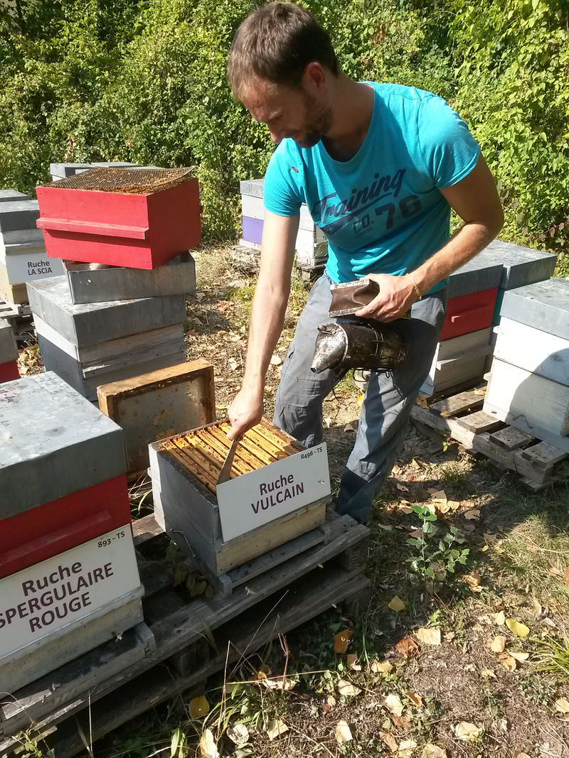 La ruche Vulcain