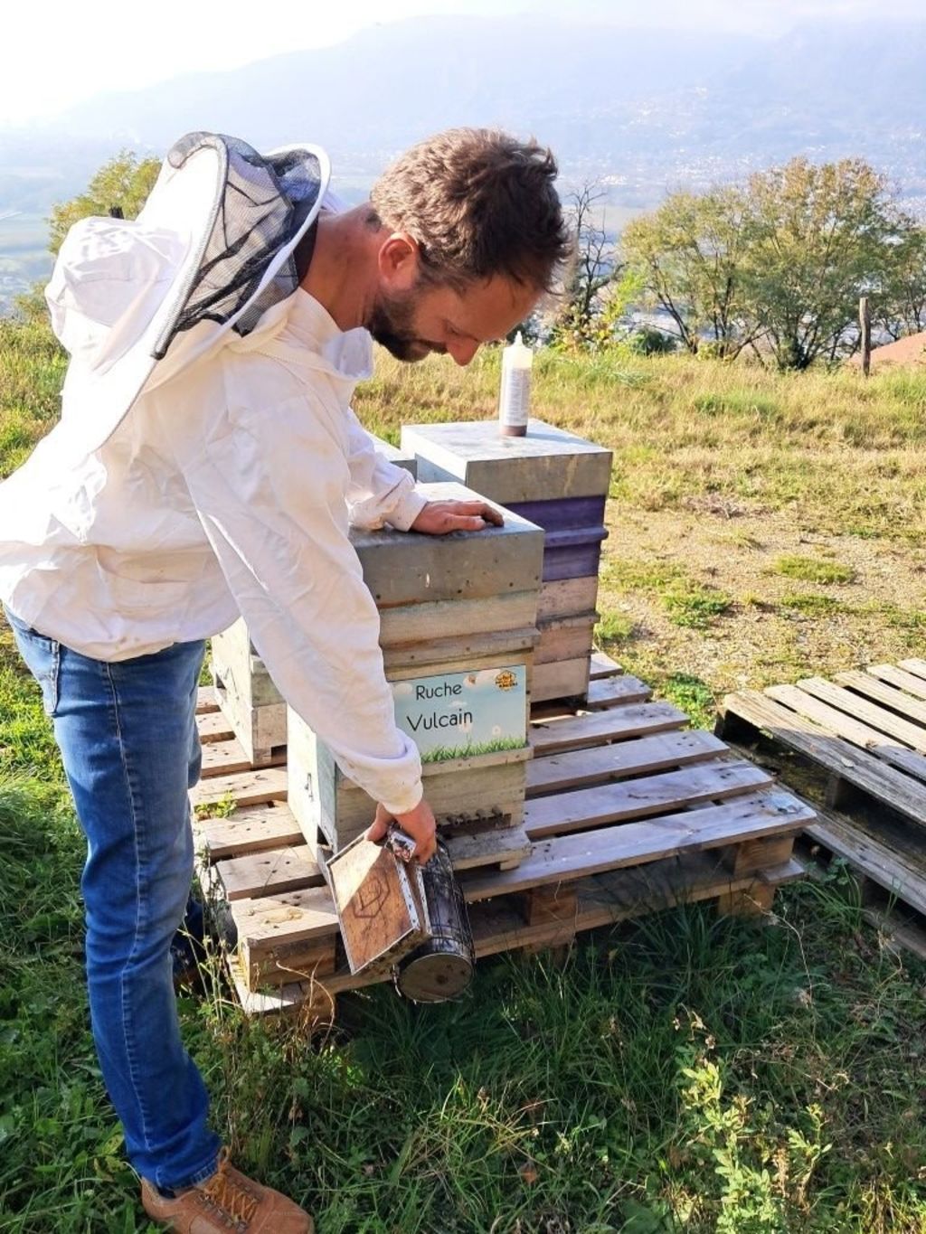 La ruche Vulcain