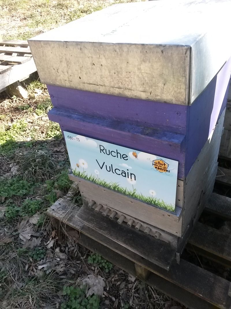 La ruche Vulcain