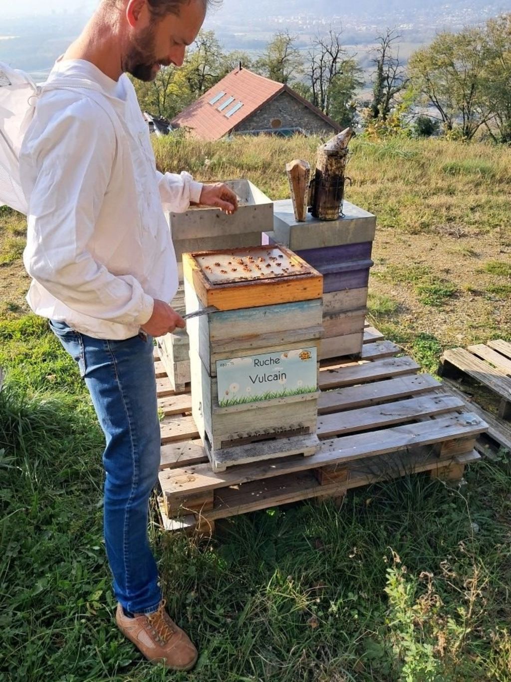 La ruche Vulcain