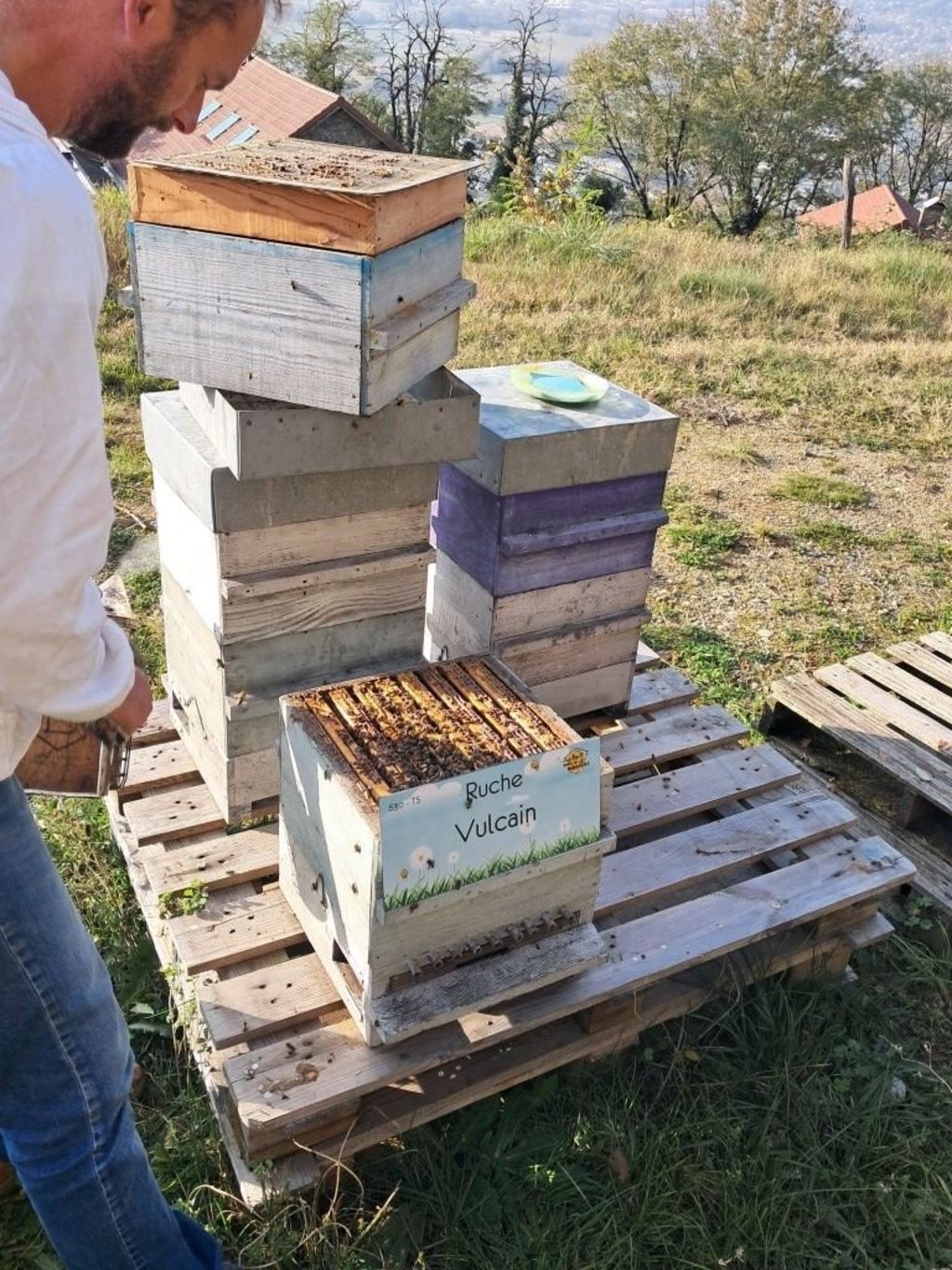 La ruche Vulcain