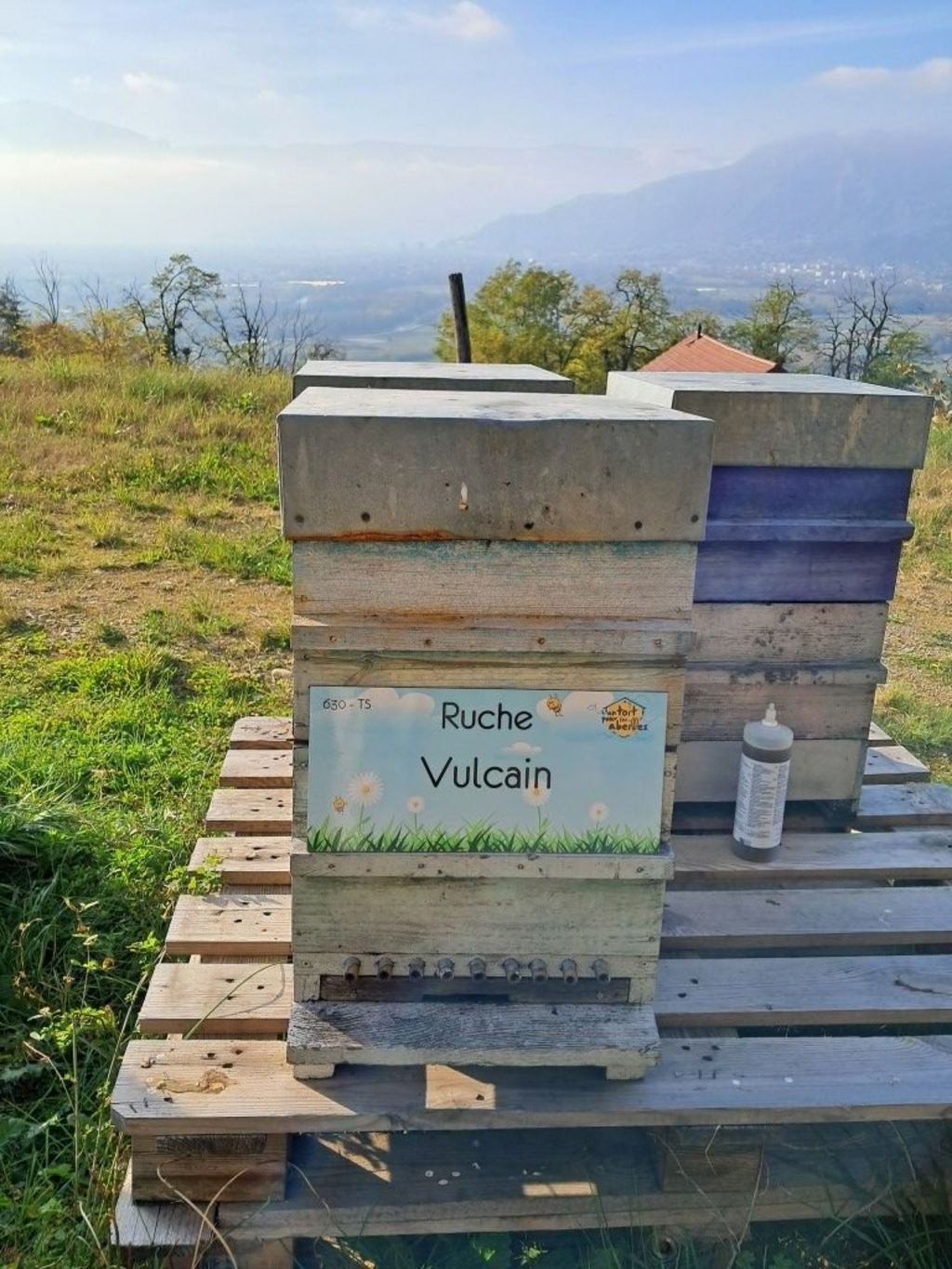 La ruche Vulcain