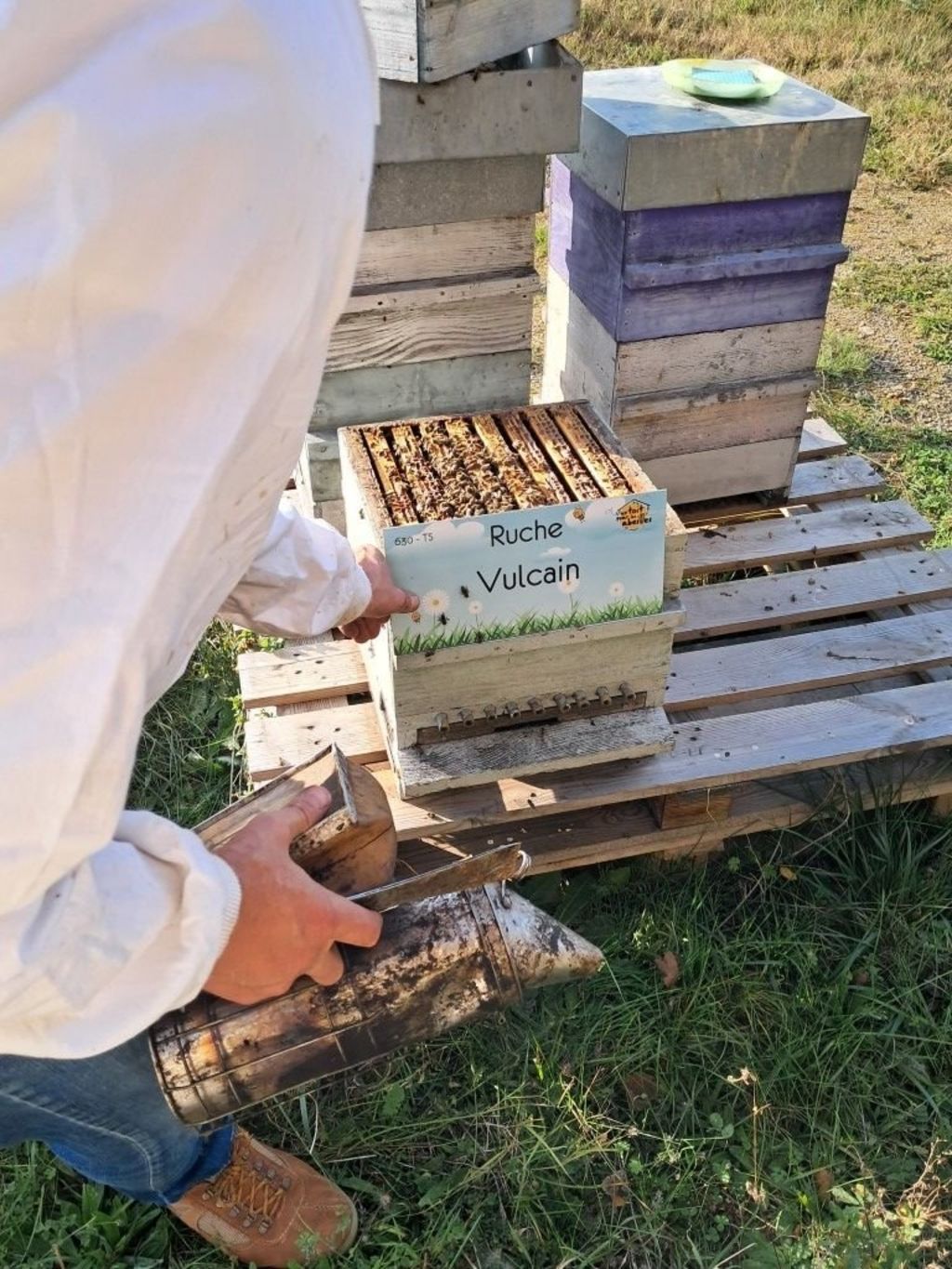 La ruche Vulcain
