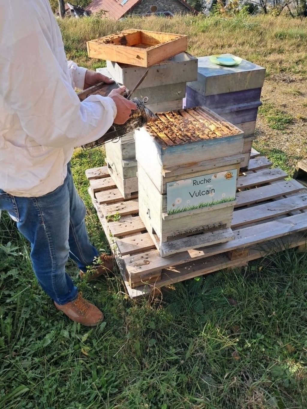 La ruche Vulcain