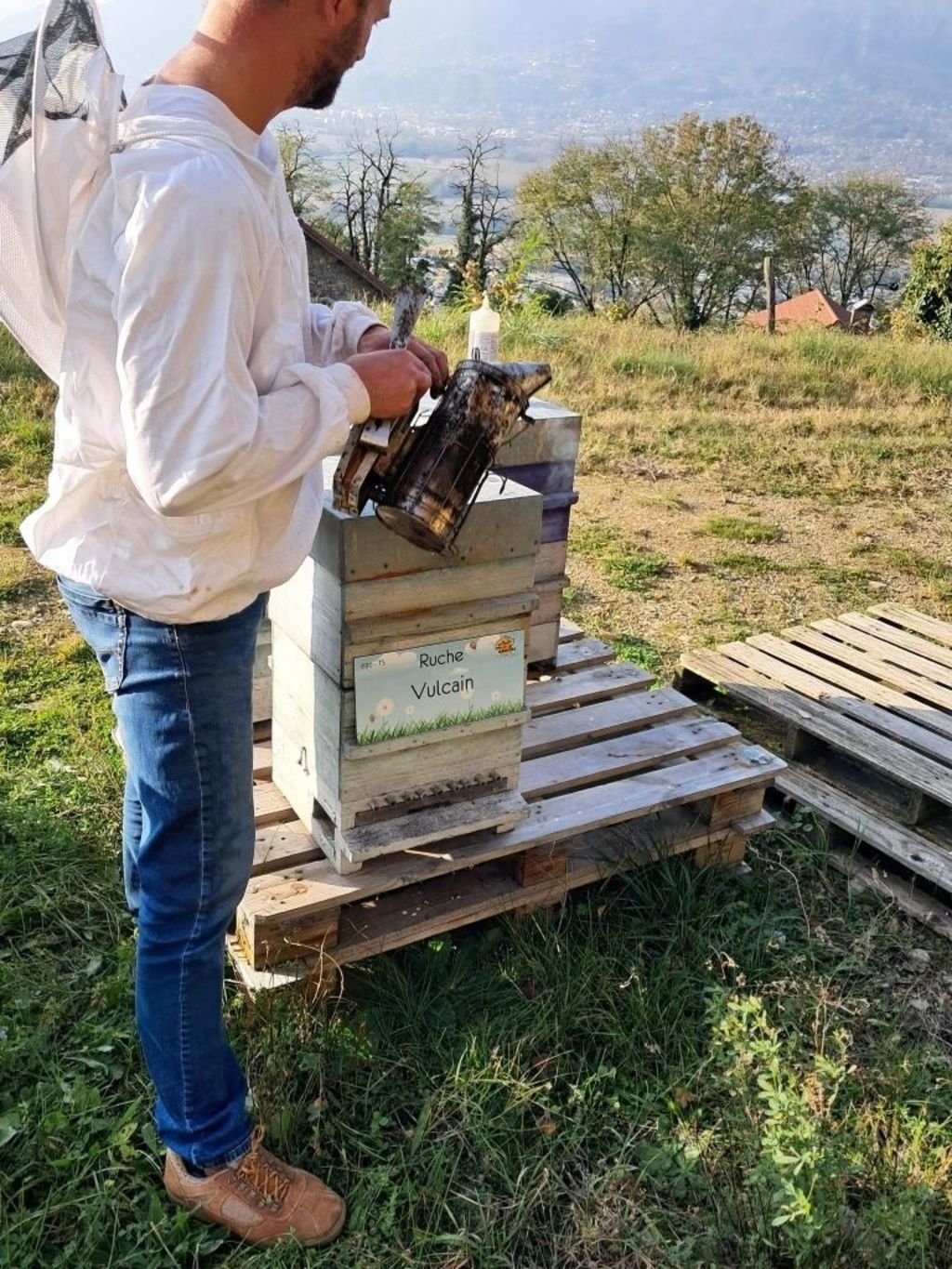 La ruche Vulcain