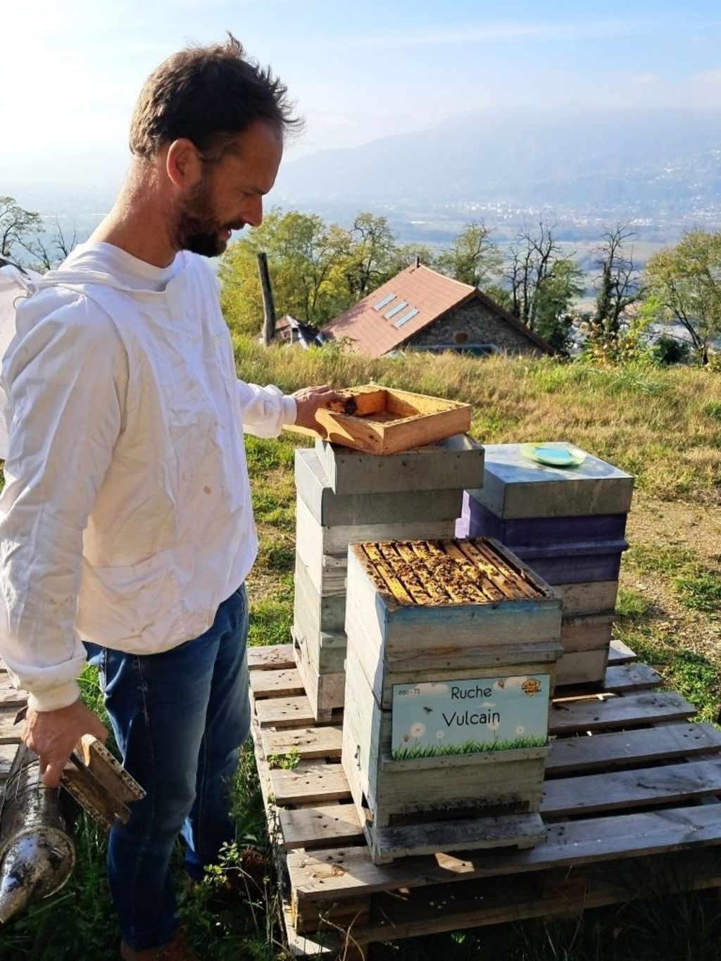 La ruche Vulcain