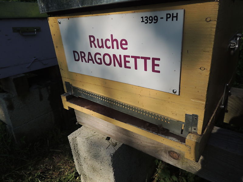 La ruche