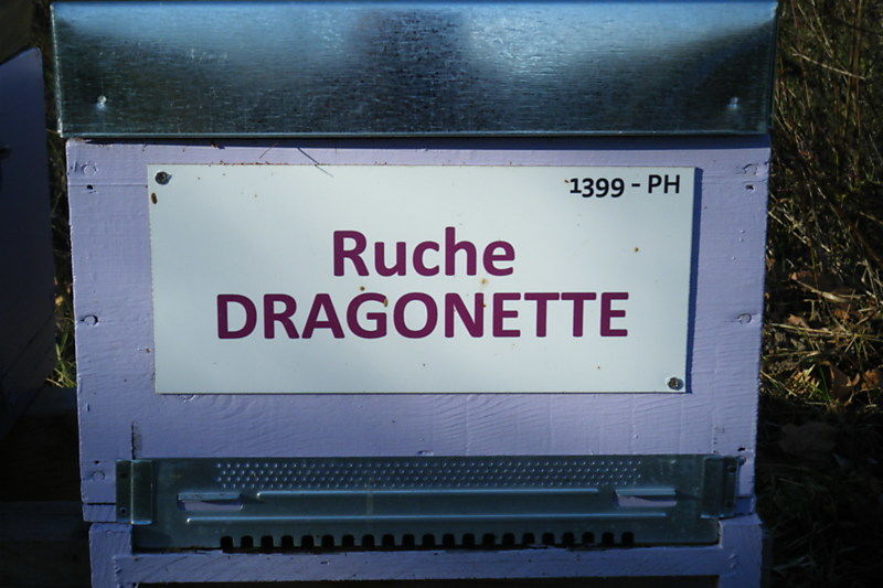 La ruche Dragonette