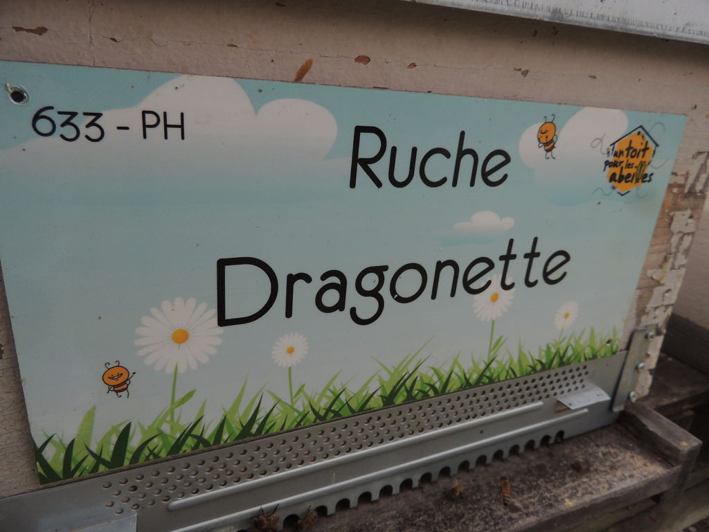 La ruche Dragonette