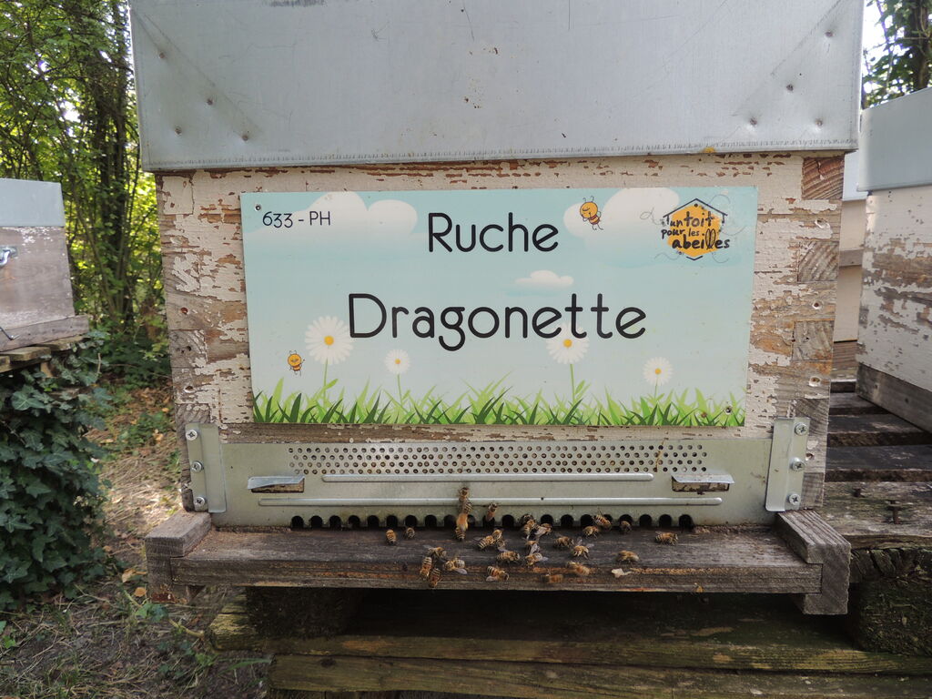 La ruche Dragonette