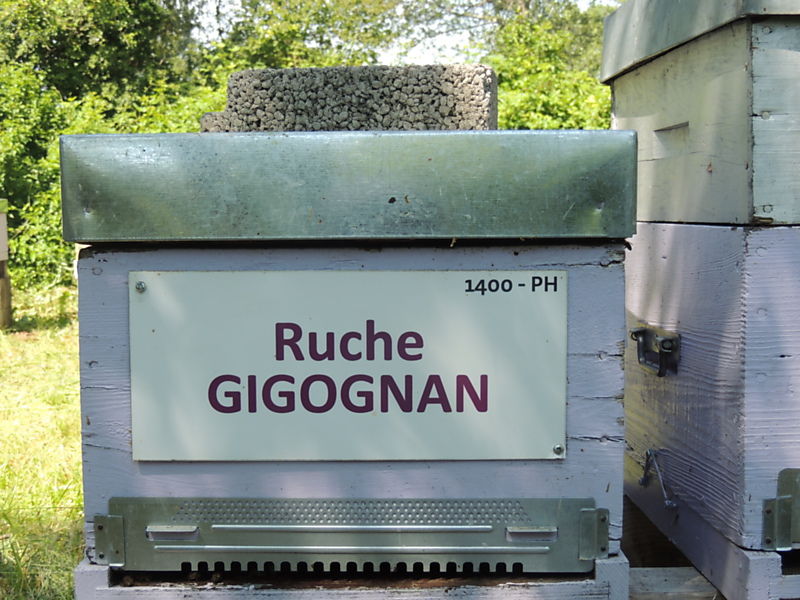 La ruche Gigognan