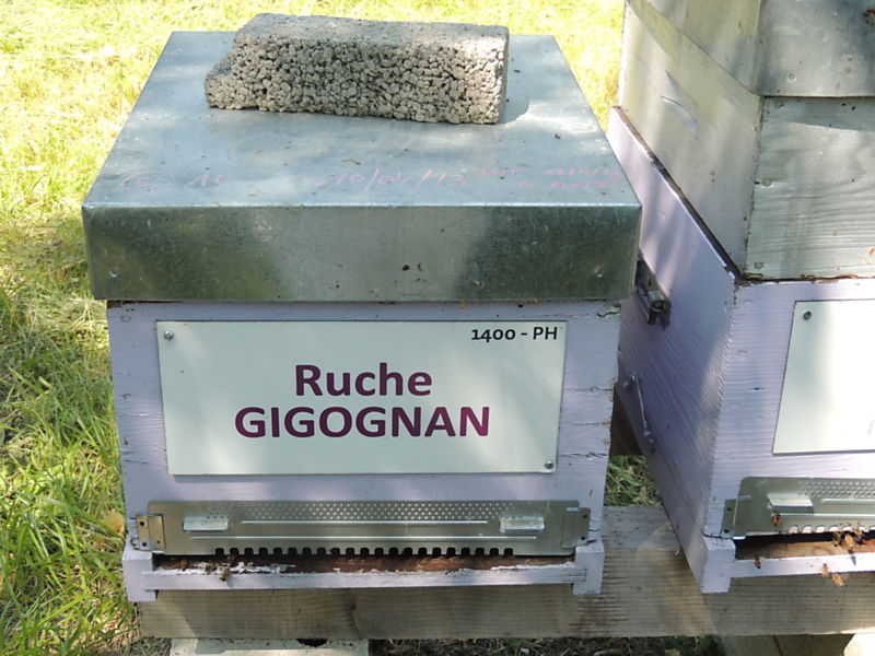 La ruche Gigognan