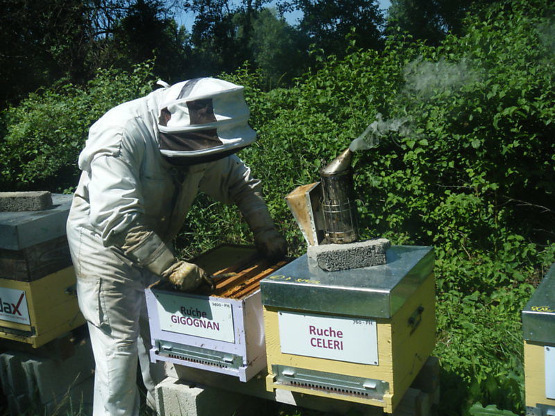 La ruche Gigognan