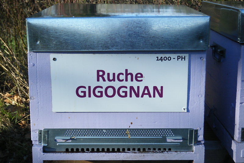 La ruche Gigognan