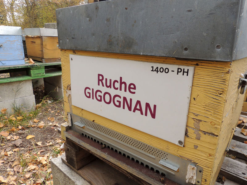 La ruche Gigognan