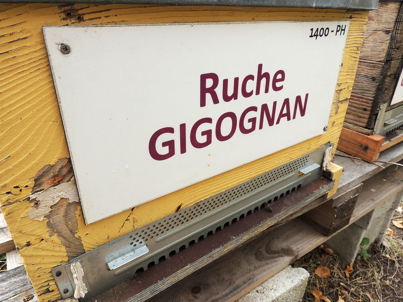 La ruche Gigognan