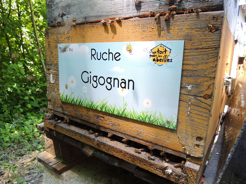 La ruche Gigognan