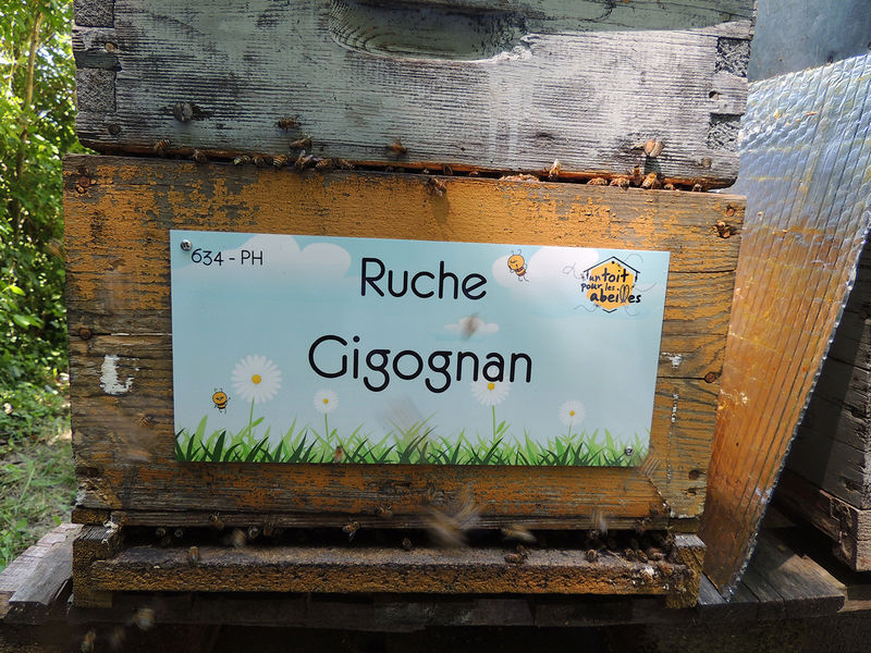La ruche Gigognan