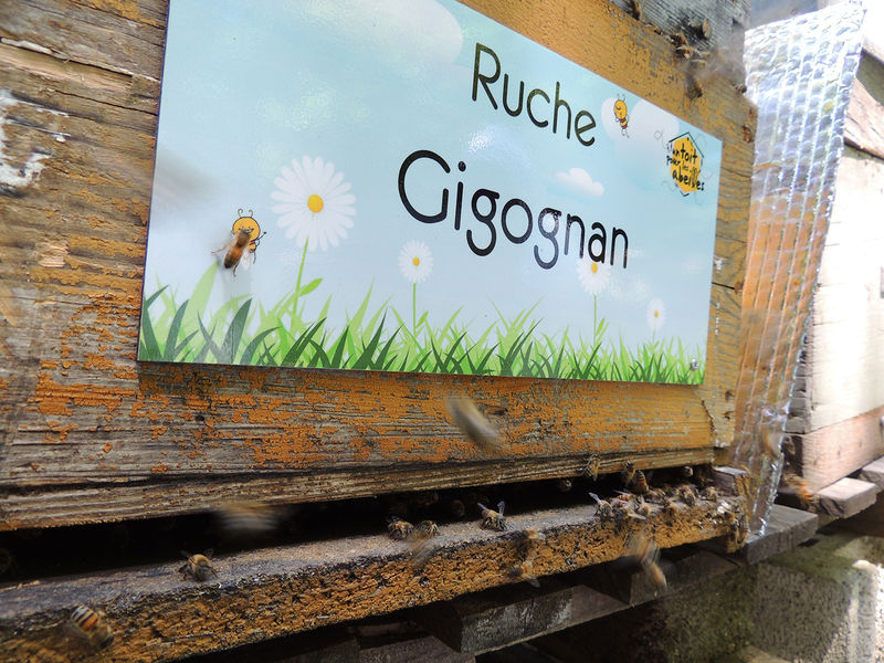 La ruche Gigognan