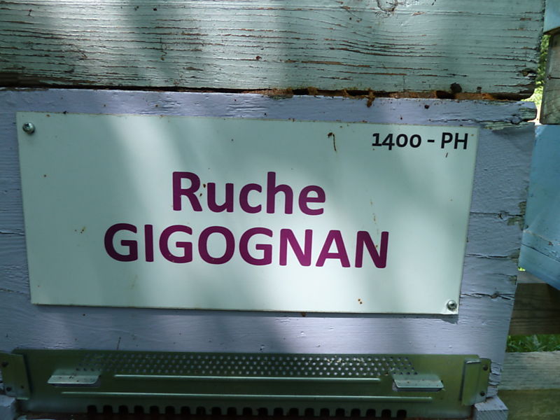 La ruche Gigognan