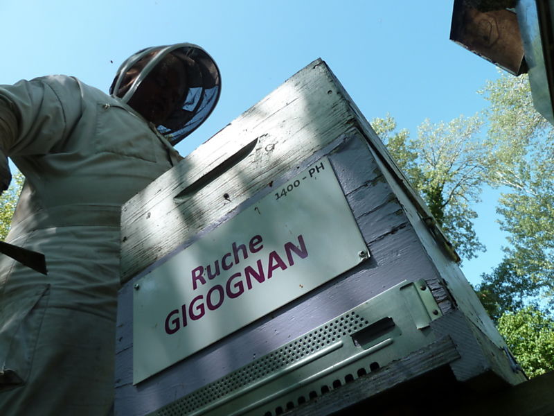 La ruche Gigognan