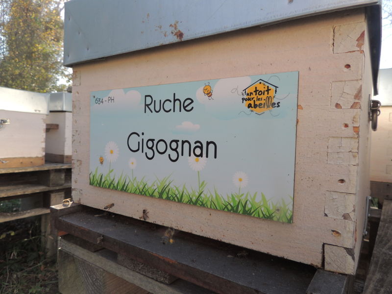 La ruche Gigognan