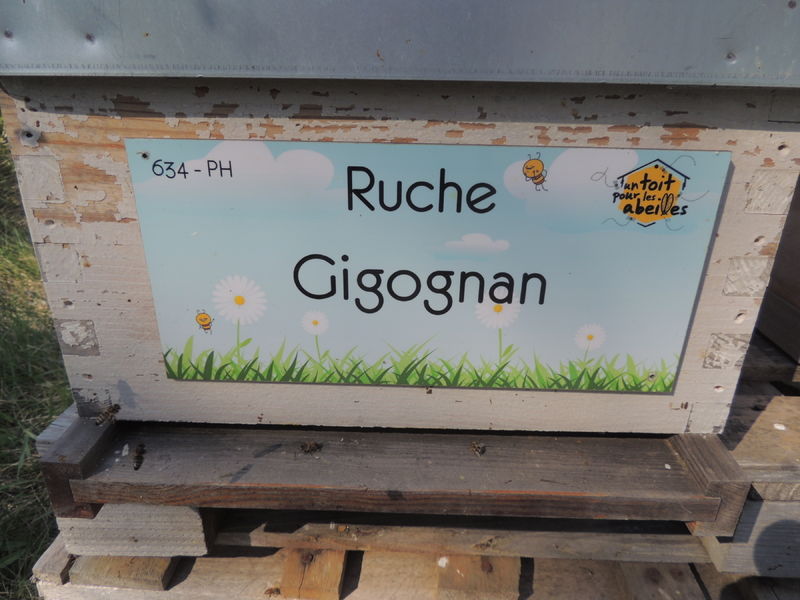 La ruche Gigognan