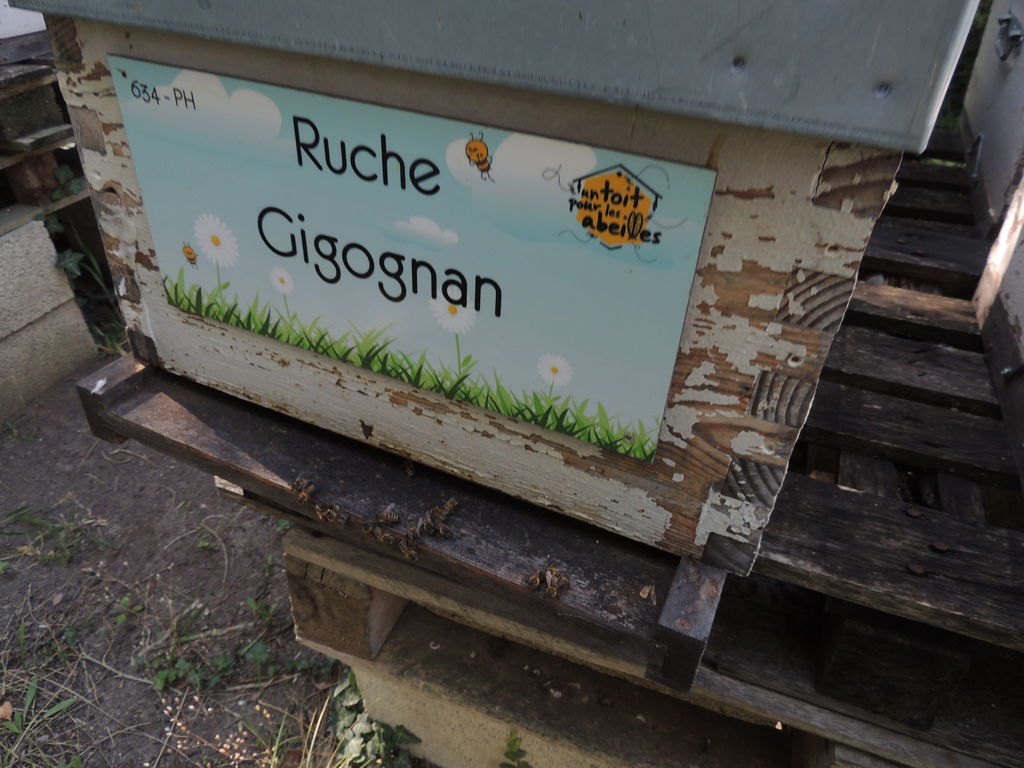 La ruche Gigognan