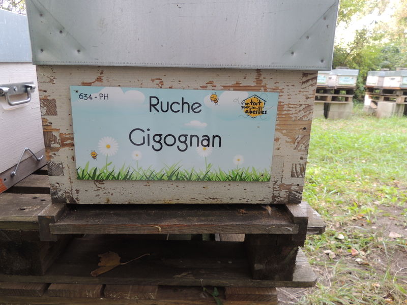 La ruche Gigognan