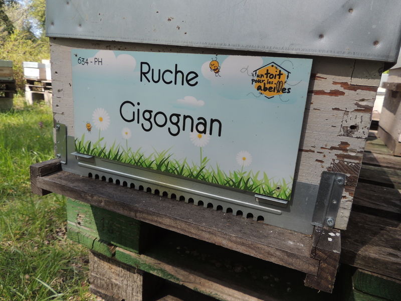 La ruche Gigognan