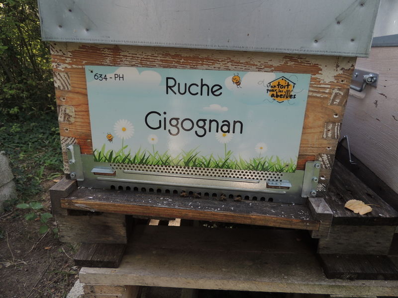 La ruche Gigognan