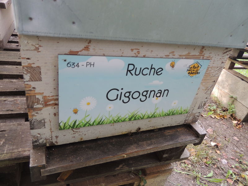 La ruche Gigognan