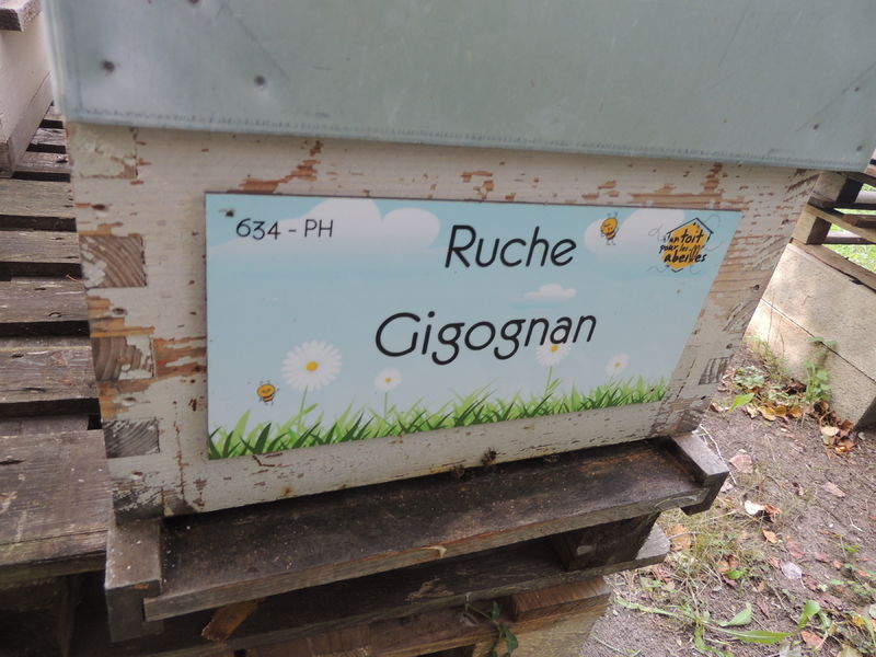 La ruche Gigognan