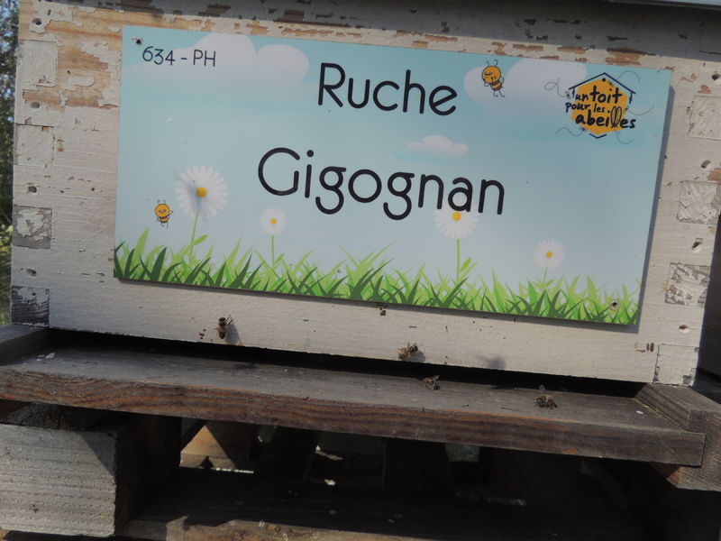 La ruche Gigognan