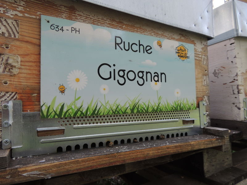 La ruche Gigognan