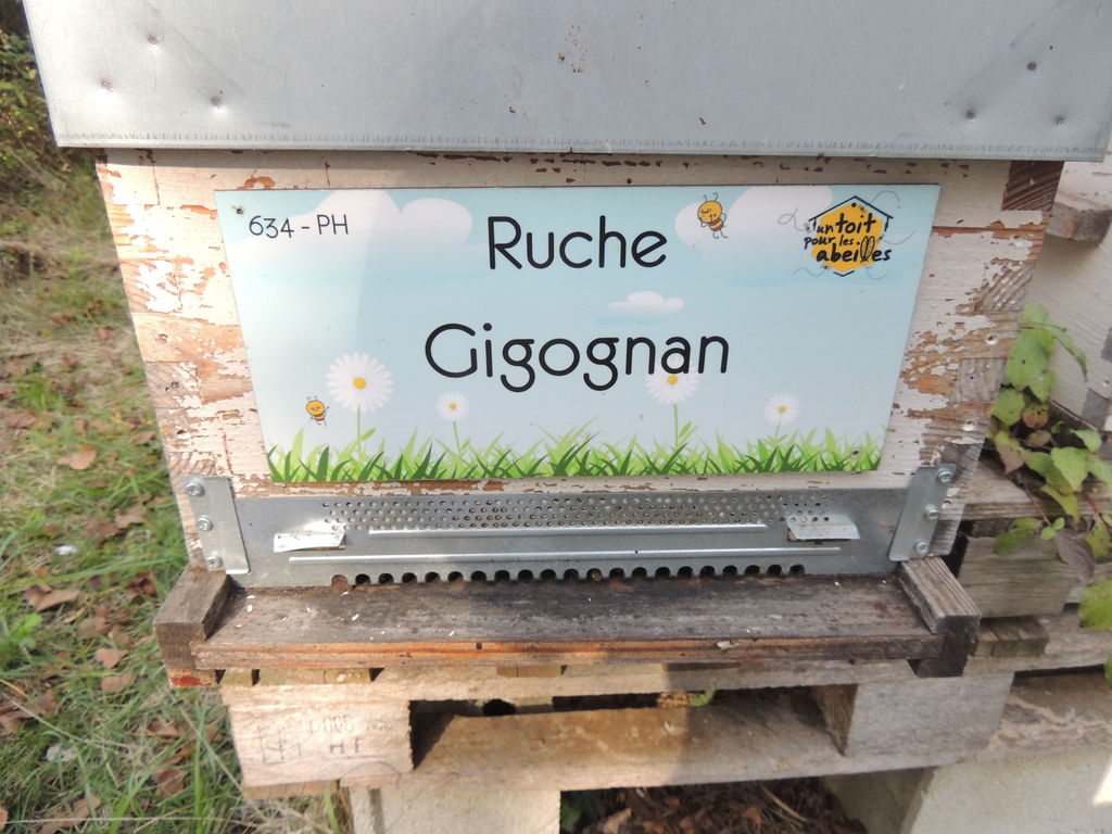 La ruche Gigognan