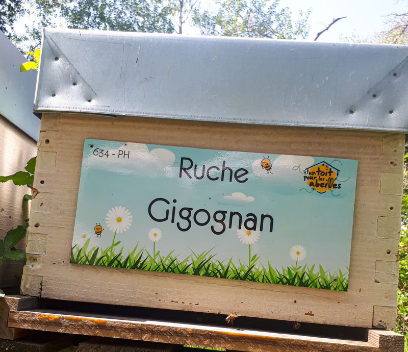 La ruche Gigognan